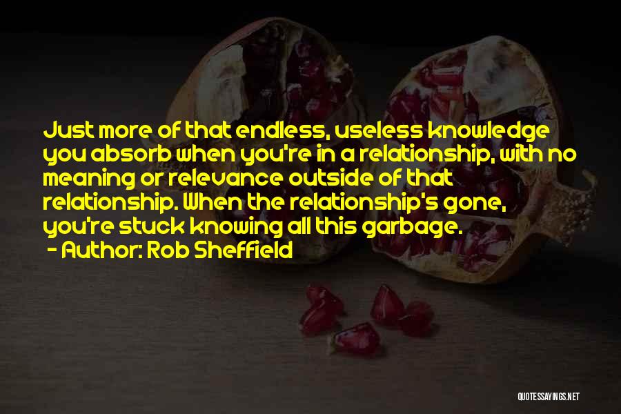 Rob Sheffield Quotes: Just More Of That Endless, Useless Knowledge You Absorb When You're In A Relationship, With No Meaning Or Relevance Outside