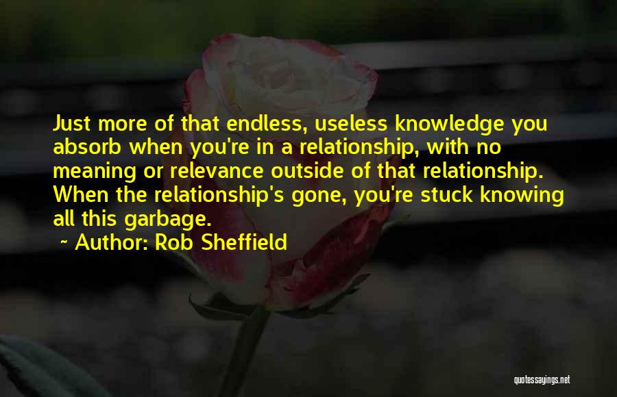 Rob Sheffield Quotes: Just More Of That Endless, Useless Knowledge You Absorb When You're In A Relationship, With No Meaning Or Relevance Outside