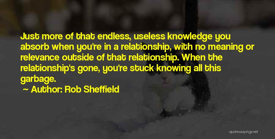 Rob Sheffield Quotes: Just More Of That Endless, Useless Knowledge You Absorb When You're In A Relationship, With No Meaning Or Relevance Outside