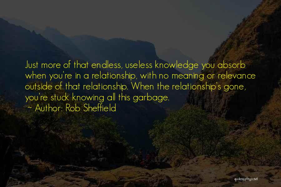 Rob Sheffield Quotes: Just More Of That Endless, Useless Knowledge You Absorb When You're In A Relationship, With No Meaning Or Relevance Outside