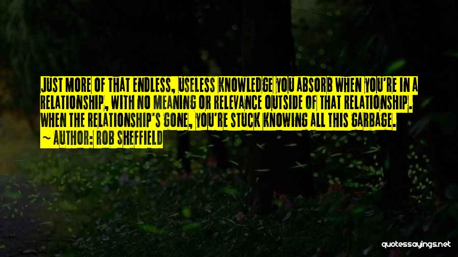 Rob Sheffield Quotes: Just More Of That Endless, Useless Knowledge You Absorb When You're In A Relationship, With No Meaning Or Relevance Outside
