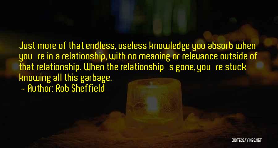 Rob Sheffield Quotes: Just More Of That Endless, Useless Knowledge You Absorb When You're In A Relationship, With No Meaning Or Relevance Outside