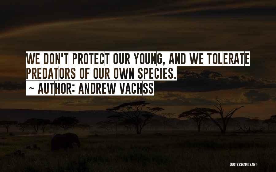 Andrew Vachss Quotes: We Don't Protect Our Young, And We Tolerate Predators Of Our Own Species.