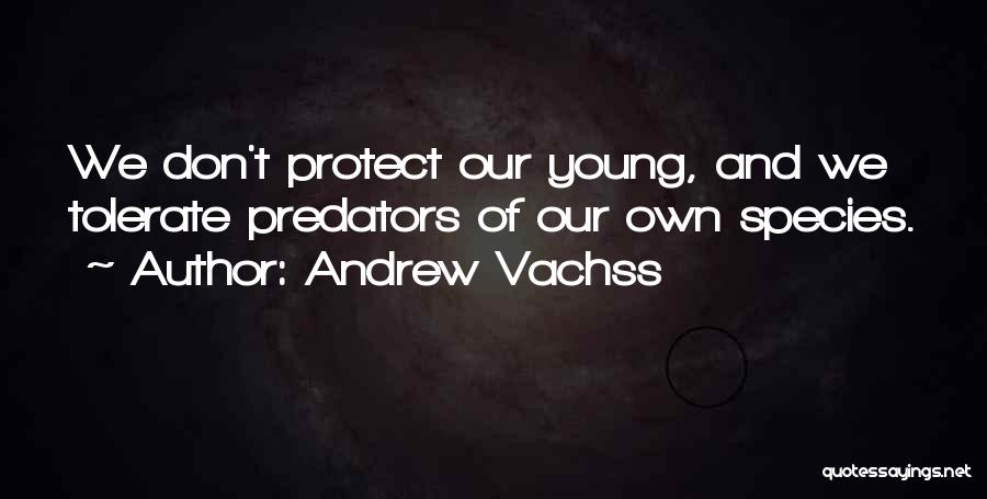 Andrew Vachss Quotes: We Don't Protect Our Young, And We Tolerate Predators Of Our Own Species.