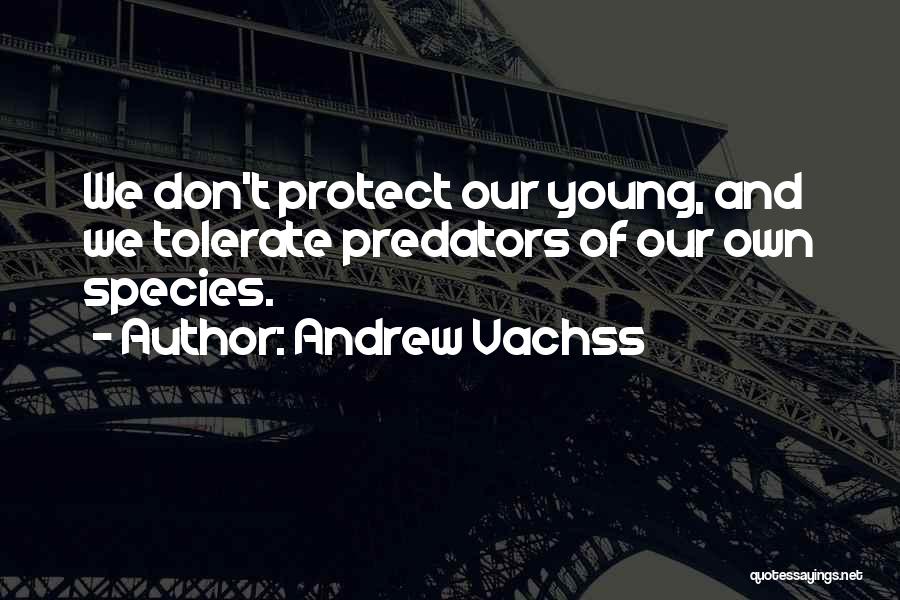 Andrew Vachss Quotes: We Don't Protect Our Young, And We Tolerate Predators Of Our Own Species.