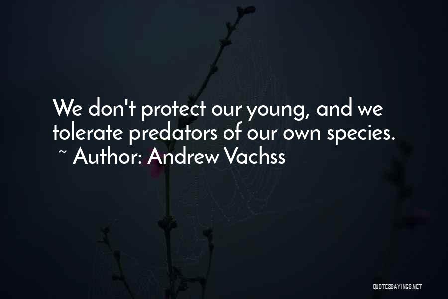 Andrew Vachss Quotes: We Don't Protect Our Young, And We Tolerate Predators Of Our Own Species.