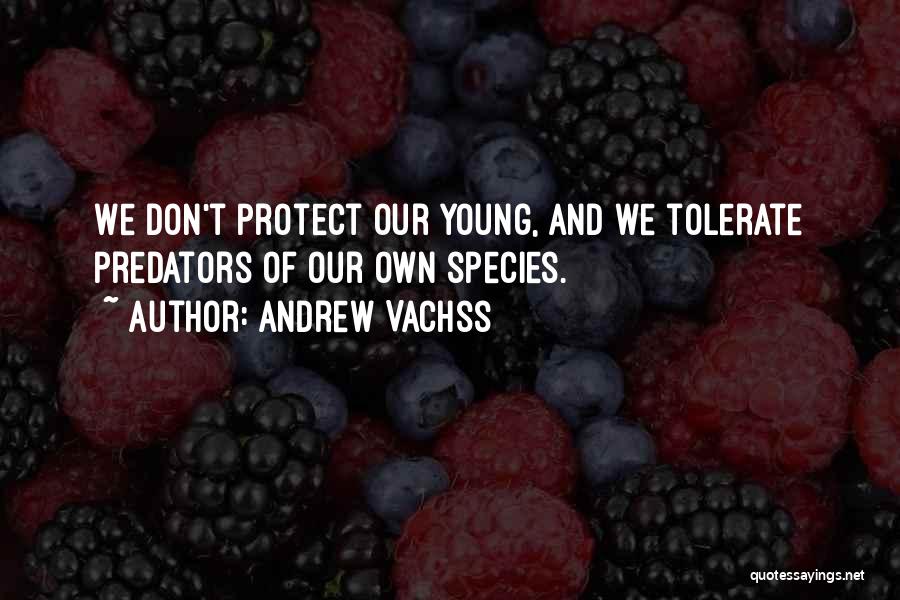 Andrew Vachss Quotes: We Don't Protect Our Young, And We Tolerate Predators Of Our Own Species.