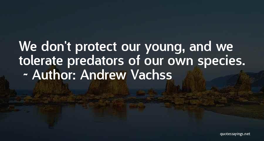 Andrew Vachss Quotes: We Don't Protect Our Young, And We Tolerate Predators Of Our Own Species.