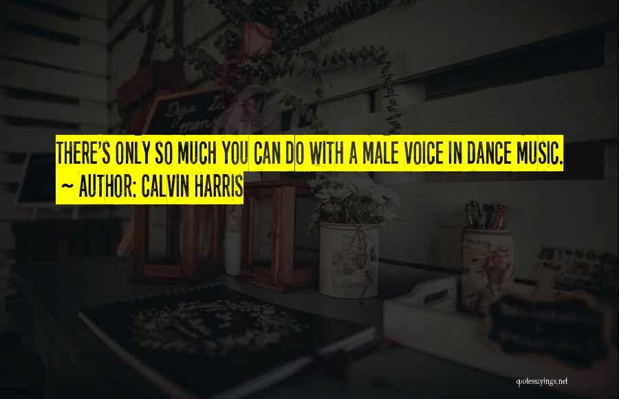 Calvin Harris Quotes: There's Only So Much You Can Do With A Male Voice In Dance Music.