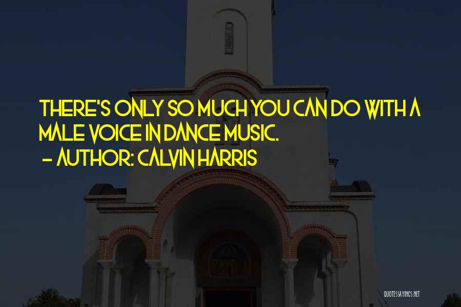 Calvin Harris Quotes: There's Only So Much You Can Do With A Male Voice In Dance Music.
