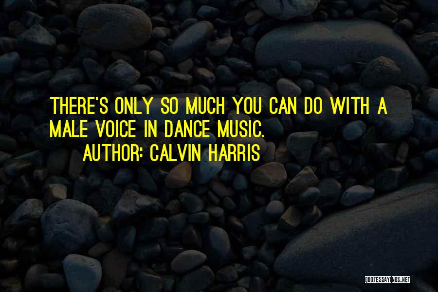 Calvin Harris Quotes: There's Only So Much You Can Do With A Male Voice In Dance Music.