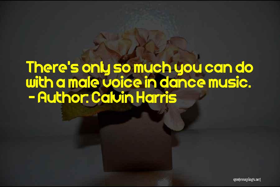 Calvin Harris Quotes: There's Only So Much You Can Do With A Male Voice In Dance Music.