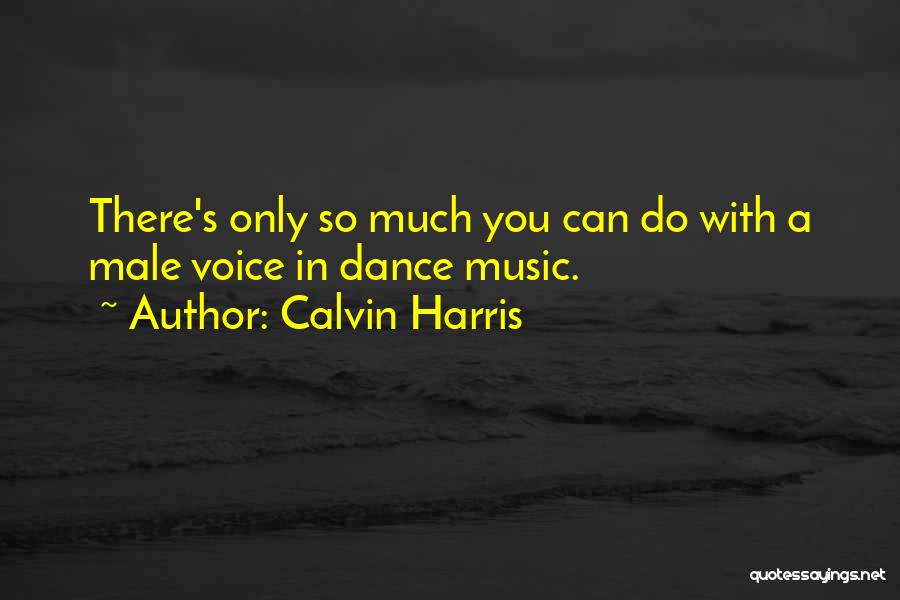 Calvin Harris Quotes: There's Only So Much You Can Do With A Male Voice In Dance Music.