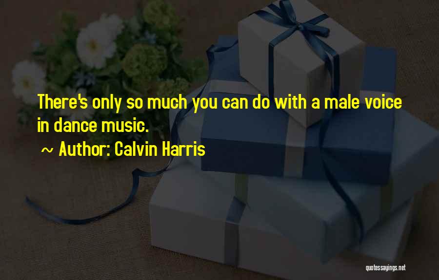 Calvin Harris Quotes: There's Only So Much You Can Do With A Male Voice In Dance Music.