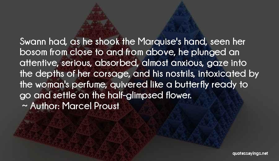 Marcel Proust Quotes: Swann Had, As He Shook The Marquise's Hand, Seen Her Bosom From Close To And From Above, He Plunged An