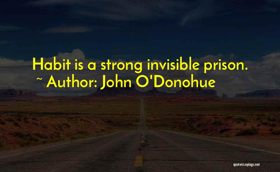 John O'Donohue Quotes: Habit Is A Strong Invisible Prison.