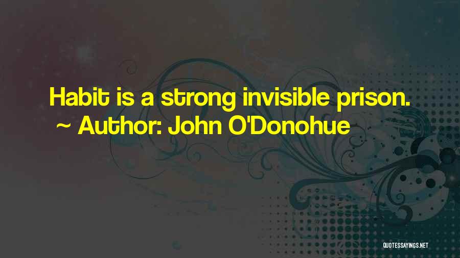John O'Donohue Quotes: Habit Is A Strong Invisible Prison.