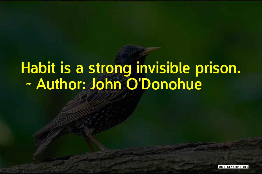 John O'Donohue Quotes: Habit Is A Strong Invisible Prison.