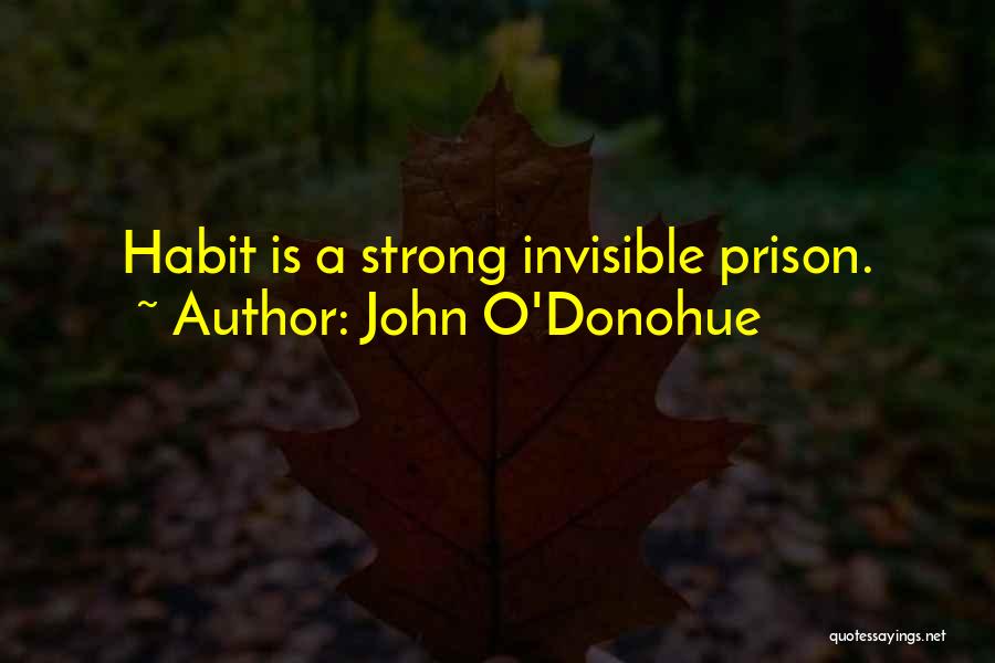 John O'Donohue Quotes: Habit Is A Strong Invisible Prison.