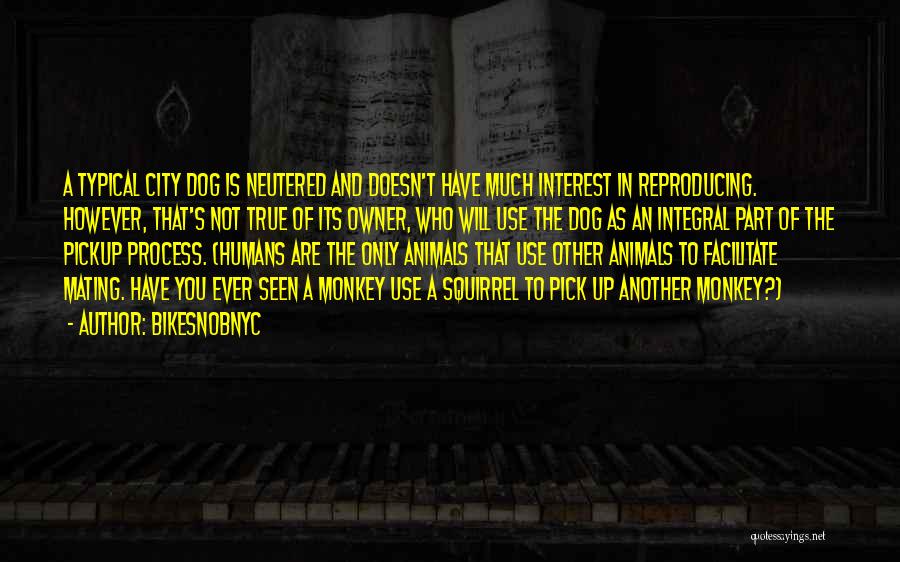 BikeSnobNYC Quotes: A Typical City Dog Is Neutered And Doesn't Have Much Interest In Reproducing. However, That's Not True Of Its Owner,