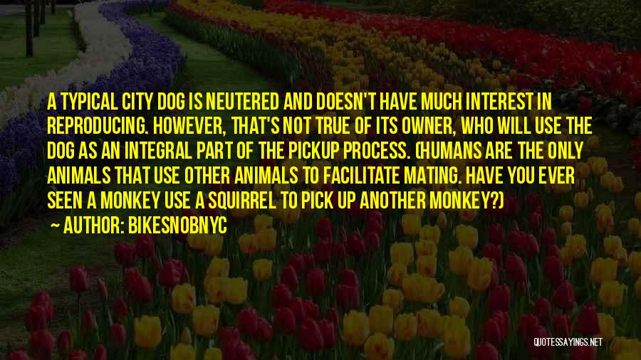 BikeSnobNYC Quotes: A Typical City Dog Is Neutered And Doesn't Have Much Interest In Reproducing. However, That's Not True Of Its Owner,