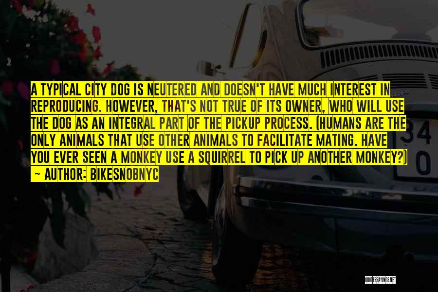 BikeSnobNYC Quotes: A Typical City Dog Is Neutered And Doesn't Have Much Interest In Reproducing. However, That's Not True Of Its Owner,