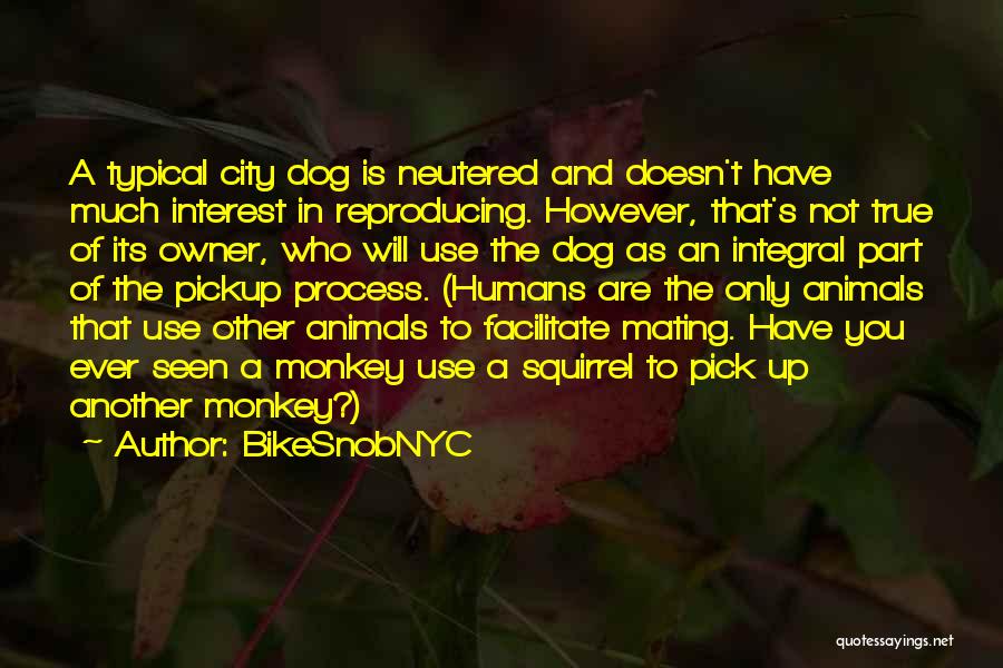 BikeSnobNYC Quotes: A Typical City Dog Is Neutered And Doesn't Have Much Interest In Reproducing. However, That's Not True Of Its Owner,