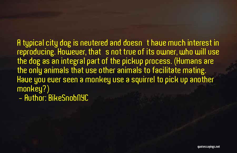 BikeSnobNYC Quotes: A Typical City Dog Is Neutered And Doesn't Have Much Interest In Reproducing. However, That's Not True Of Its Owner,