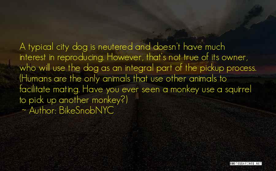 BikeSnobNYC Quotes: A Typical City Dog Is Neutered And Doesn't Have Much Interest In Reproducing. However, That's Not True Of Its Owner,