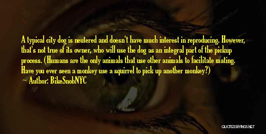 BikeSnobNYC Quotes: A Typical City Dog Is Neutered And Doesn't Have Much Interest In Reproducing. However, That's Not True Of Its Owner,