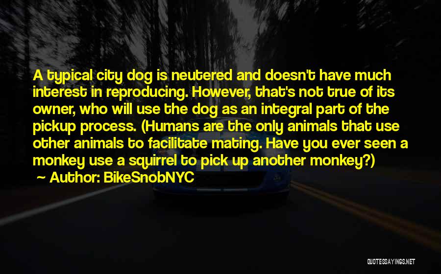 BikeSnobNYC Quotes: A Typical City Dog Is Neutered And Doesn't Have Much Interest In Reproducing. However, That's Not True Of Its Owner,