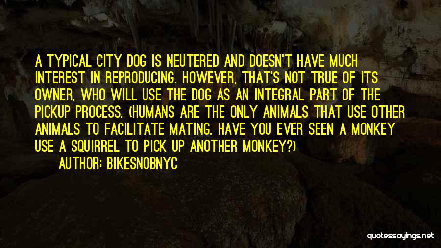 BikeSnobNYC Quotes: A Typical City Dog Is Neutered And Doesn't Have Much Interest In Reproducing. However, That's Not True Of Its Owner,