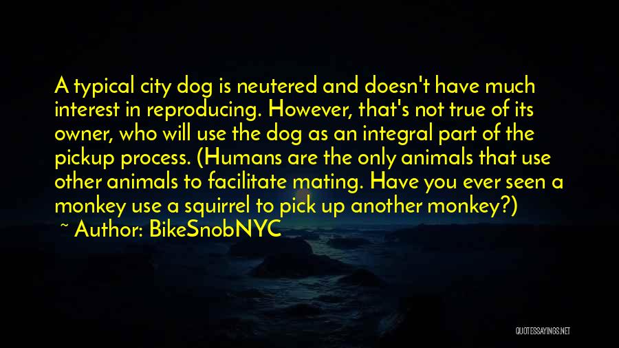 BikeSnobNYC Quotes: A Typical City Dog Is Neutered And Doesn't Have Much Interest In Reproducing. However, That's Not True Of Its Owner,