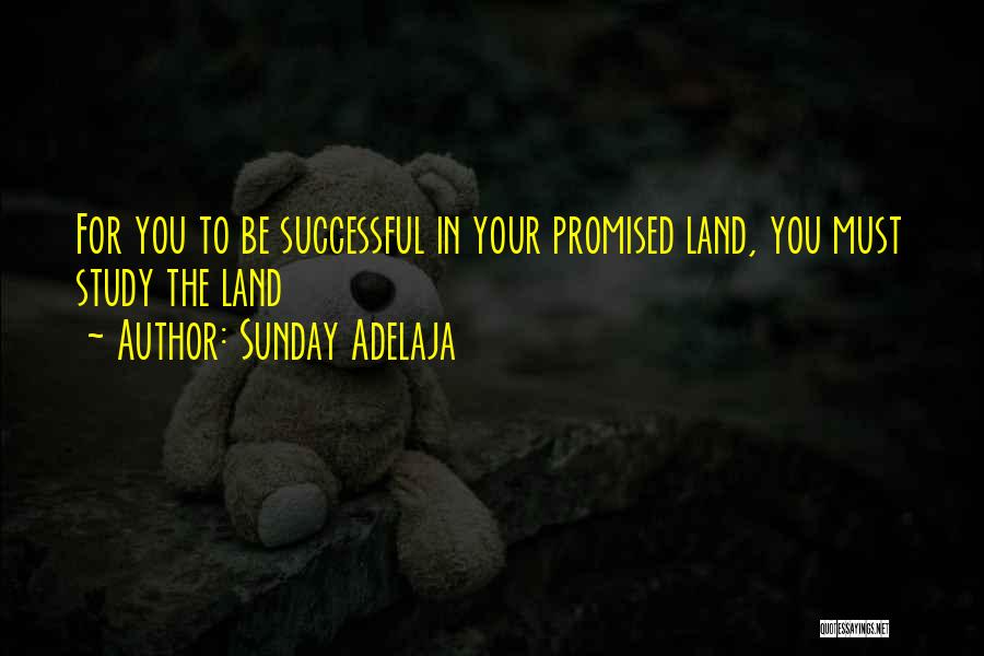 Sunday Adelaja Quotes: For You To Be Successful In Your Promised Land, You Must Study The Land