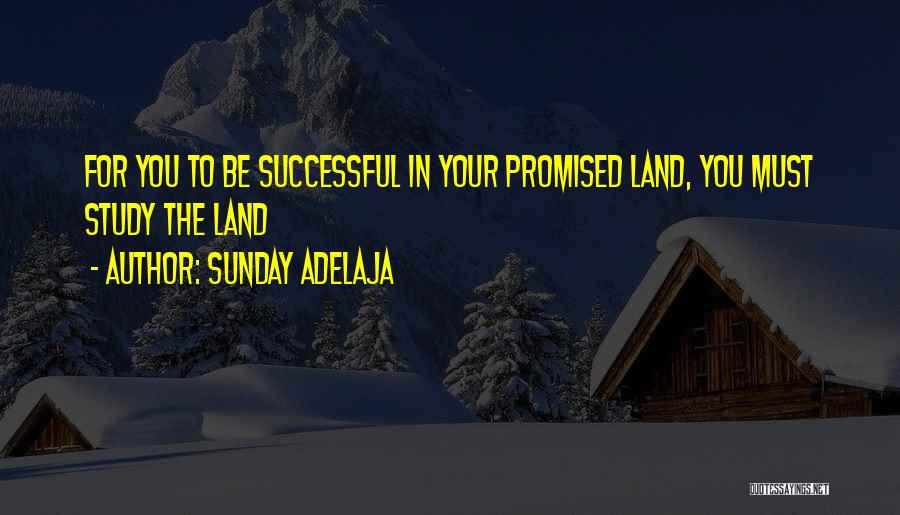 Sunday Adelaja Quotes: For You To Be Successful In Your Promised Land, You Must Study The Land