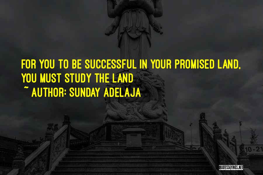 Sunday Adelaja Quotes: For You To Be Successful In Your Promised Land, You Must Study The Land