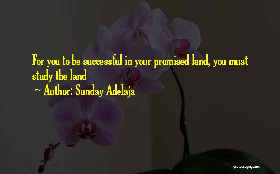 Sunday Adelaja Quotes: For You To Be Successful In Your Promised Land, You Must Study The Land