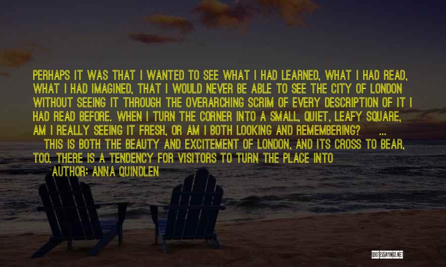 Anna Quindlen Quotes: Perhaps It Was That I Wanted To See What I Had Learned, What I Had Read, What I Had Imagined,