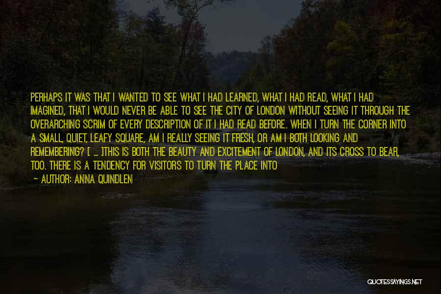 Anna Quindlen Quotes: Perhaps It Was That I Wanted To See What I Had Learned, What I Had Read, What I Had Imagined,