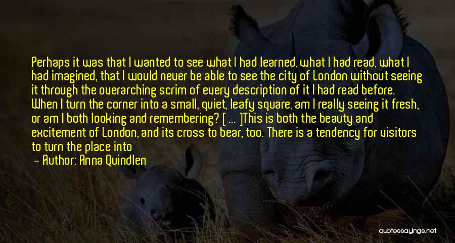 Anna Quindlen Quotes: Perhaps It Was That I Wanted To See What I Had Learned, What I Had Read, What I Had Imagined,