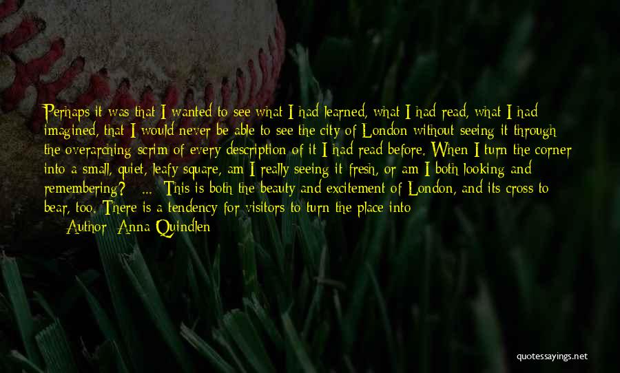 Anna Quindlen Quotes: Perhaps It Was That I Wanted To See What I Had Learned, What I Had Read, What I Had Imagined,