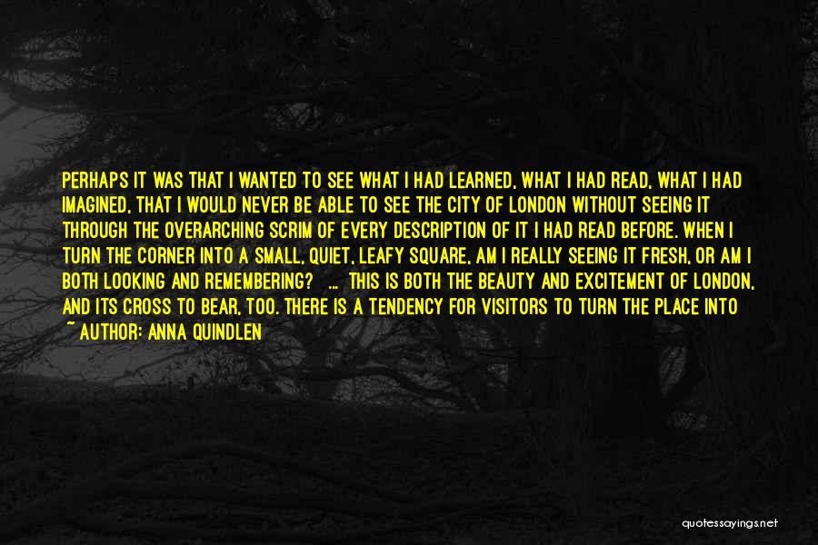 Anna Quindlen Quotes: Perhaps It Was That I Wanted To See What I Had Learned, What I Had Read, What I Had Imagined,