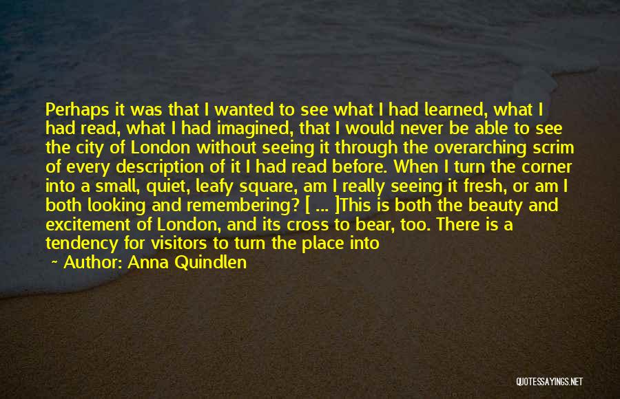 Anna Quindlen Quotes: Perhaps It Was That I Wanted To See What I Had Learned, What I Had Read, What I Had Imagined,