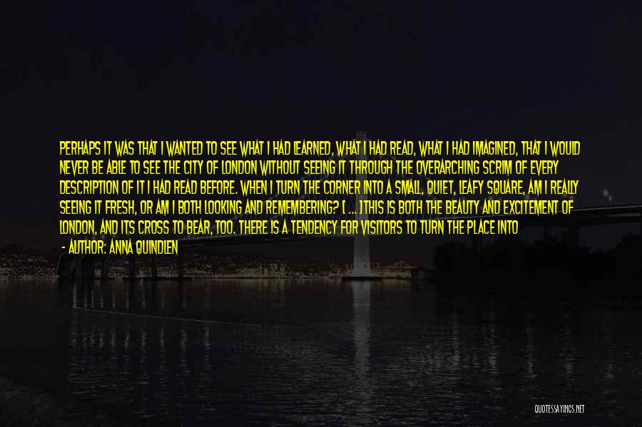 Anna Quindlen Quotes: Perhaps It Was That I Wanted To See What I Had Learned, What I Had Read, What I Had Imagined,