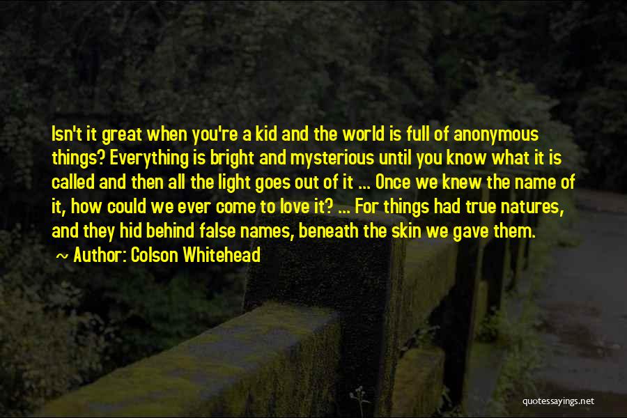 Colson Whitehead Quotes: Isn't It Great When You're A Kid And The World Is Full Of Anonymous Things? Everything Is Bright And Mysterious