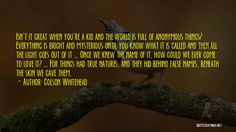 Colson Whitehead Quotes: Isn't It Great When You're A Kid And The World Is Full Of Anonymous Things? Everything Is Bright And Mysterious