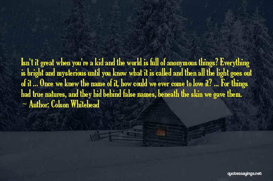 Colson Whitehead Quotes: Isn't It Great When You're A Kid And The World Is Full Of Anonymous Things? Everything Is Bright And Mysterious