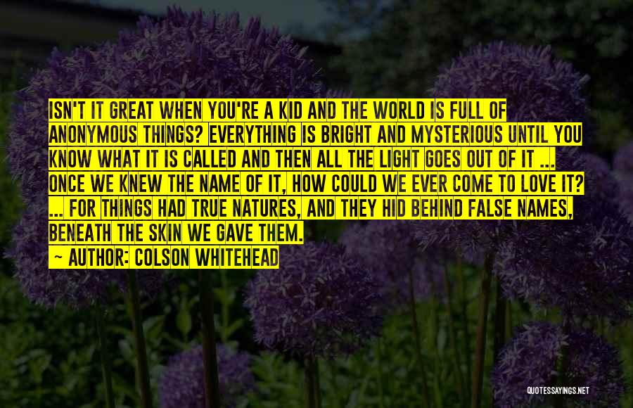 Colson Whitehead Quotes: Isn't It Great When You're A Kid And The World Is Full Of Anonymous Things? Everything Is Bright And Mysterious