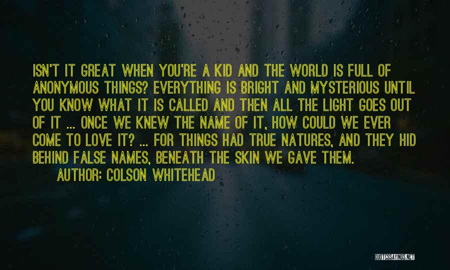Colson Whitehead Quotes: Isn't It Great When You're A Kid And The World Is Full Of Anonymous Things? Everything Is Bright And Mysterious