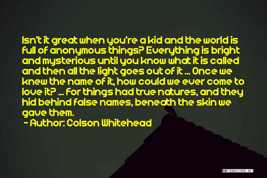 Colson Whitehead Quotes: Isn't It Great When You're A Kid And The World Is Full Of Anonymous Things? Everything Is Bright And Mysterious
